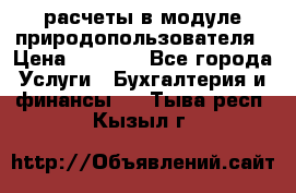 расчеты в модуле природопользователя › Цена ­ 3 000 - Все города Услуги » Бухгалтерия и финансы   . Тыва респ.,Кызыл г.